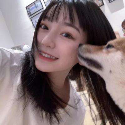 开火车游戏下载